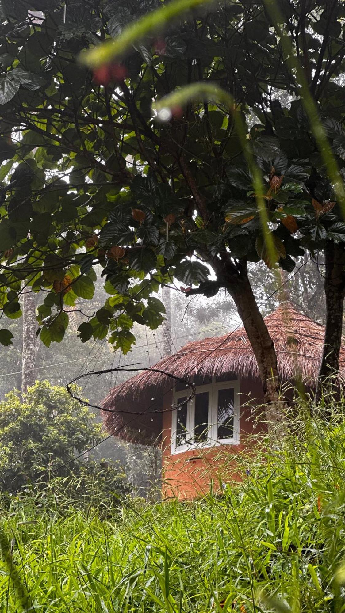 Punarjani Ayurvedic Resorts Ramakkalmedu Экстерьер фото