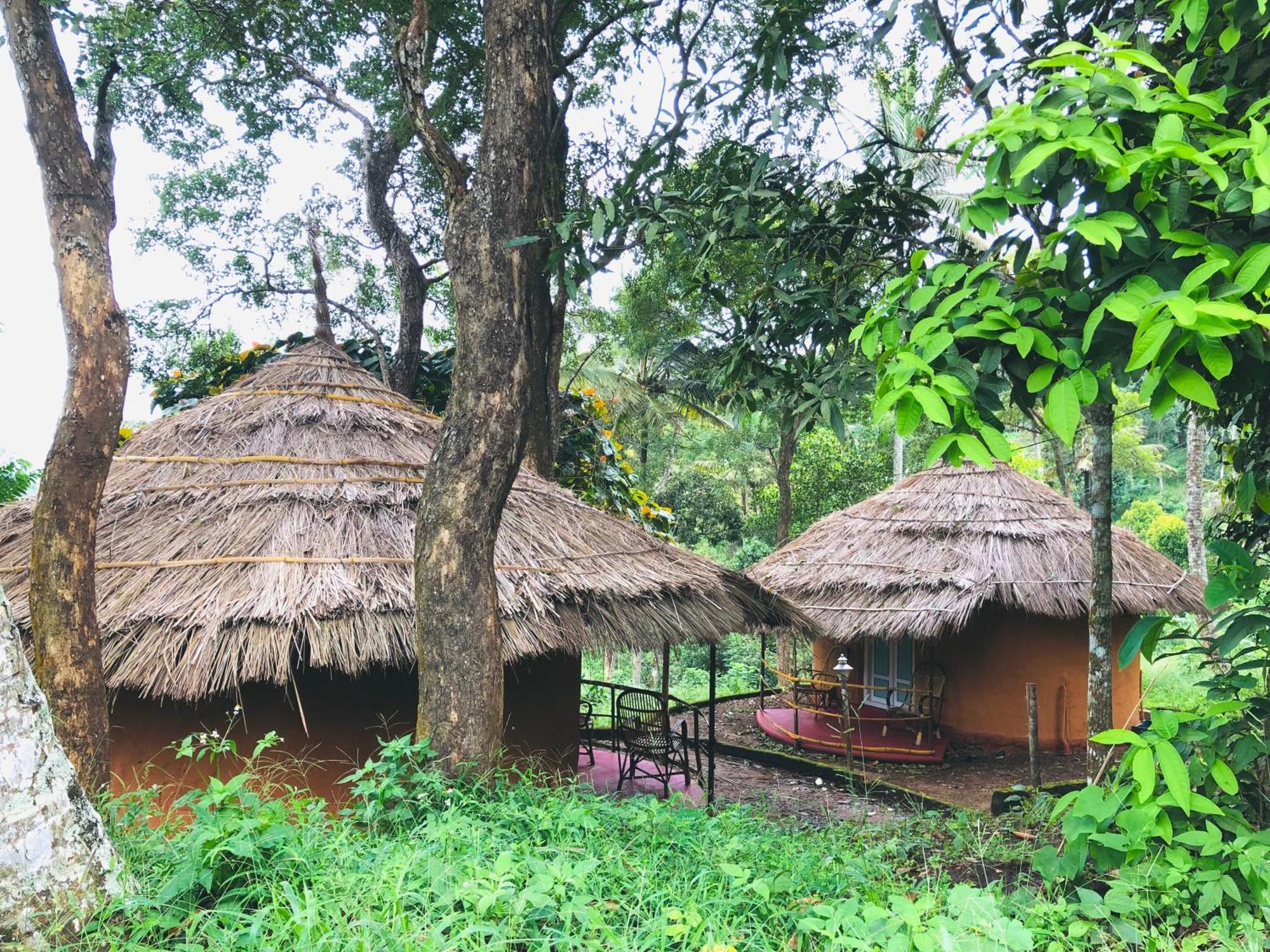 Punarjani Ayurvedic Resorts Ramakkalmedu Экстерьер фото