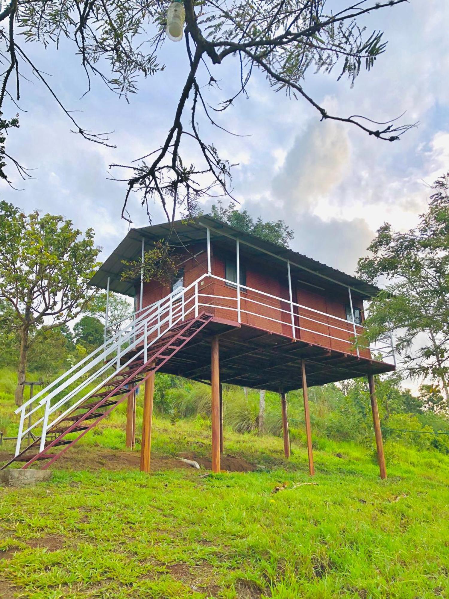 Punarjani Ayurvedic Resorts Ramakkalmedu Экстерьер фото